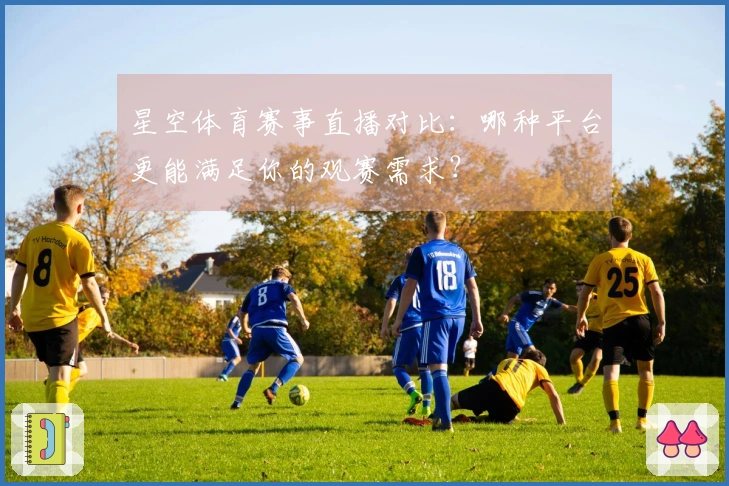 星空体育赛事直播对比：哪种平台更能满足你的观赛需求？