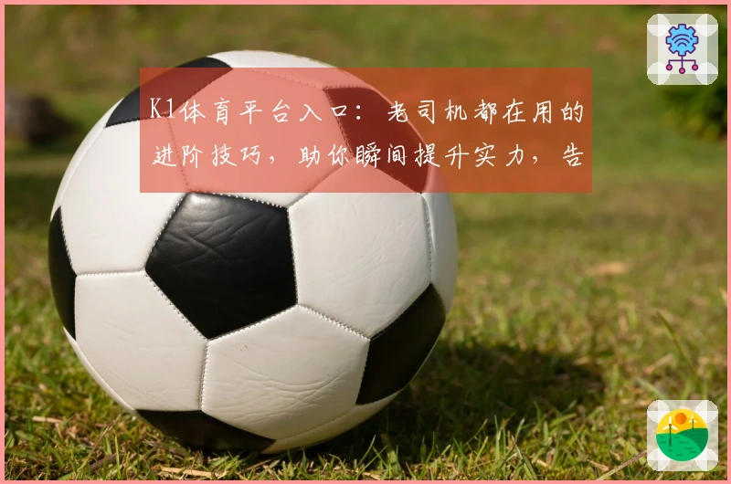 K1体育平台入口：老司机都在用的进阶技巧，助你瞬间提升实力，告别新手期