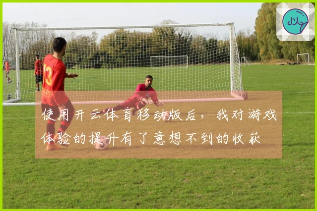 使用开云体育移动版后，我对游戏体验的提升有了意想不到的收获